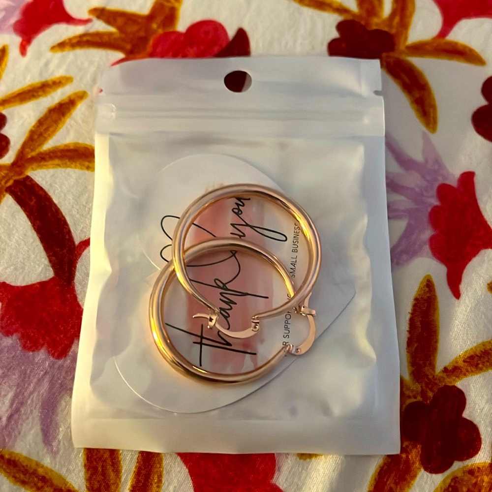 NWT Rose Gold Hollow Hoop Earrings